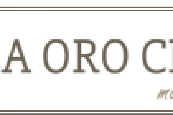 logo2
