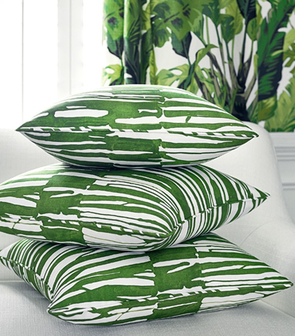 Tropics-Travelers-Palm-2
